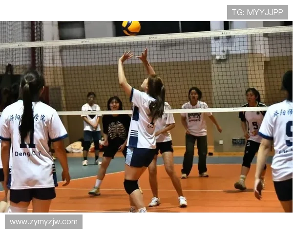 广州排球队的崛起与发展探秘：力量与激情的完美结合