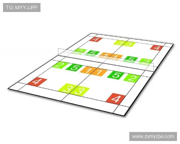 杭州羽毛球队的转换打法深度分析与战术解析